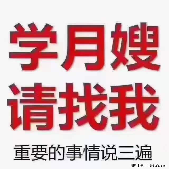 为什么要学习月嫂,育婴师? - 新手上路 - 赤峰生活社区 - 赤峰28生活网 chifeng.28life.net