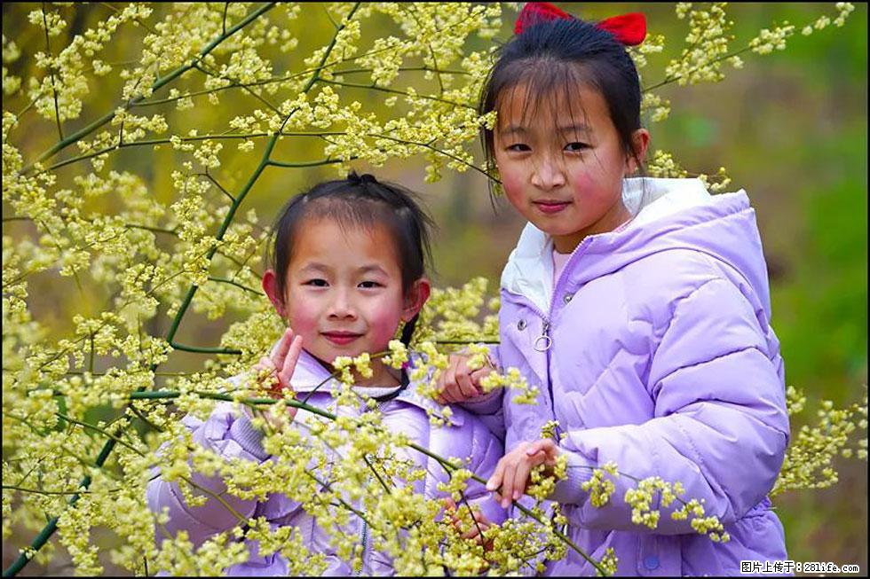 【春天，广西桂林灌阳县向您发出邀请！】米珠山前有片山苍子花在飘香 - 游山玩水 - 赤峰生活社区 - 赤峰28生活网 chifeng.28life.net