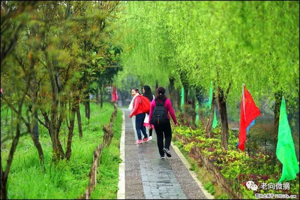 【春天，广西桂林灌阳县向您发出邀请！】江口老街又逢春 - 游山玩水 - 赤峰生活社区 - 赤峰28生活网 chifeng.28life.net