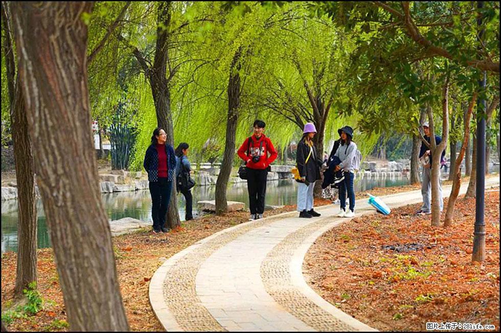 【春天，广西桂林灌阳县向您发出邀请！】江口老街又逢春 - 游山玩水 - 赤峰生活社区 - 赤峰28生活网 chifeng.28life.net
