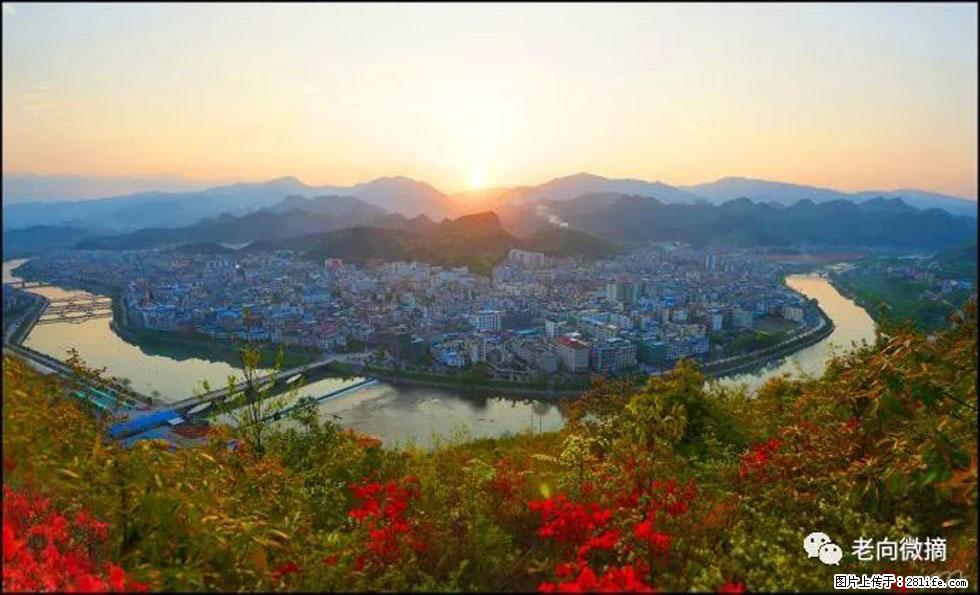 【春天，广西桂林灌阳县向您发出邀请！】登麒麟山，相约映山红 - 游山玩水 - 赤峰生活社区 - 赤峰28生活网 chifeng.28life.net