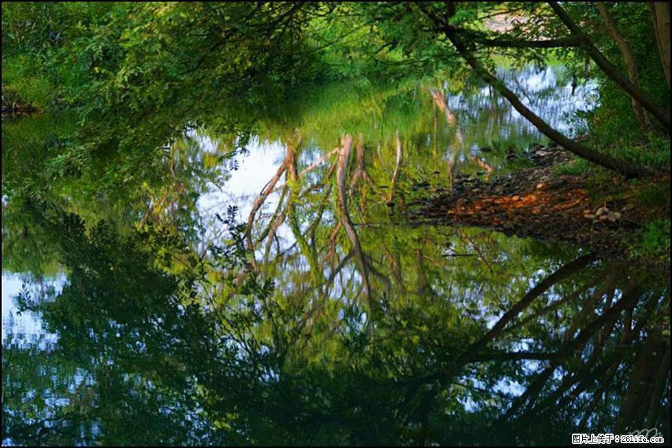 【春天，广西桂林灌阳县向您发出邀请！】熊家寨湿地公园 - 游山玩水 - 赤峰生活社区 - 赤峰28生活网 chifeng.28life.net