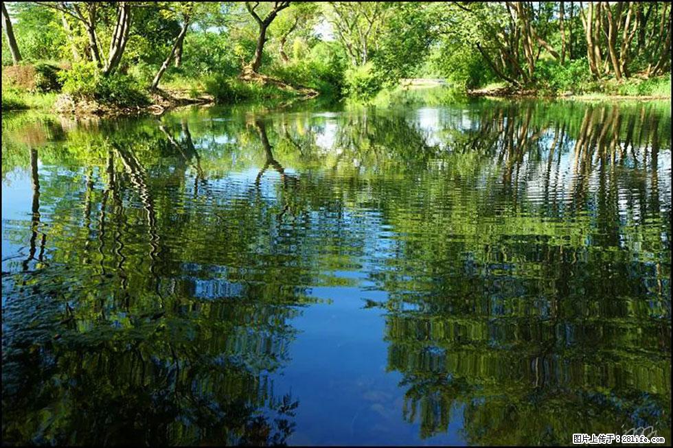 【春天，广西桂林灌阳县向您发出邀请！】熊家寨湿地公园 - 游山玩水 - 赤峰生活社区 - 赤峰28生活网 chifeng.28life.net
