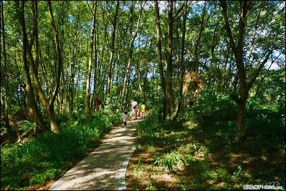 【春天，广西桂林灌阳县向您发出邀请！】熊家寨湿地公园 - 游山玩水 - 赤峰生活社区 - 赤峰28生活网 chifeng.28life.net