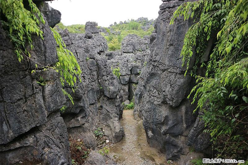 桂林旅游名城景点：灌阳文市石林 - 游山玩水 - 赤峰生活社区 - 赤峰28生活网 chifeng.28life.net