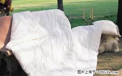 被子有异味？只要这样做，比晒太阳还强100倍！ - 家居生活 - 赤峰生活社区 - 赤峰28生活网 chifeng.28life.net