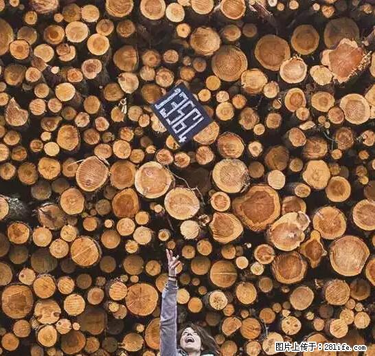 辞掉工作周游世界?现在他们在洗厕所…… - 游山玩水 - 赤峰生活社区 - 赤峰28生活网 chifeng.28life.net