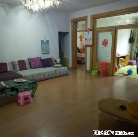 鑫刚住宅楼 家具家电齐全 能季度租 实验小学 红城新世界 - 房屋出租 - 房屋租售 - 赤峰分类信息 - 赤峰28生活网 chifeng.28life.net