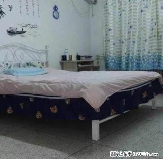 首.次出租家具家电全新特别干净两室每月租金不到900 - 赤峰28生活网 chifeng.28life.net