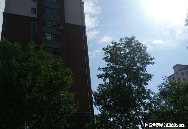 河畔骏景 价格低！中间楼层 3室1卫 好房子！ - 房屋出租 - 房屋租售 - 赤峰分类信息 - 赤峰28生活网 chifeng.28life.net