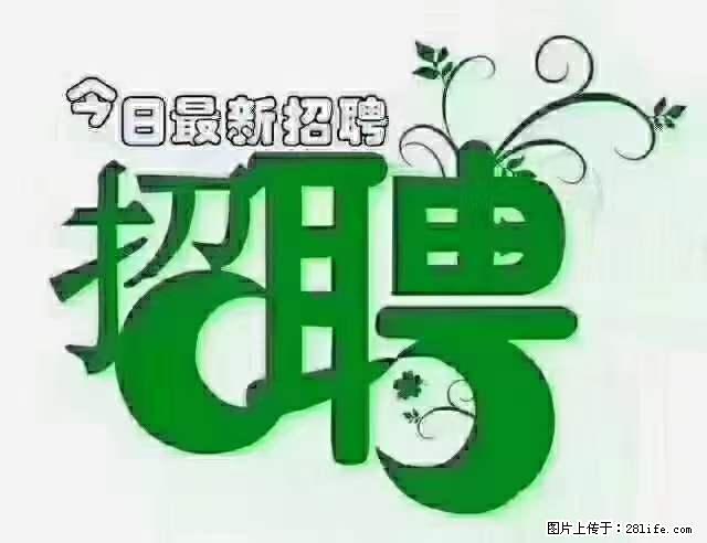 上海青浦区招仓管 - 职场交流 - 赤峰生活社区 - 赤峰28生活网 chifeng.28life.net