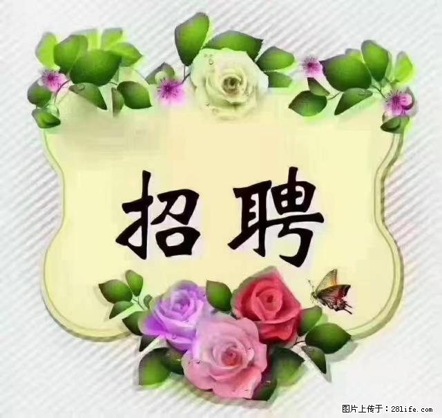 【招聘】住家育儿嫂，上户日期：4月4日，工作地址：上海 黄浦区 - 职场交流 - 赤峰生活社区 - 赤峰28生活网 chifeng.28life.net