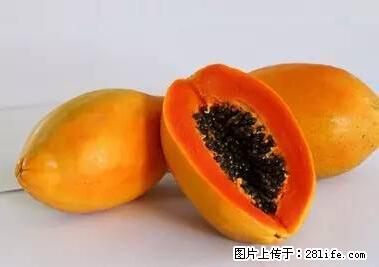晕车、脚气、牙齿变黄、皮肤粗糙？学会这些三分钟搞定！ - 赤峰生活资讯 - 赤峰28生活网 chifeng.28life.net