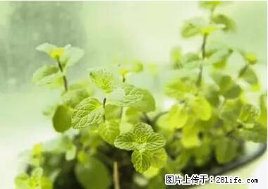 晕车、脚气、牙齿变黄、皮肤粗糙？学会这些三分钟搞定！ - 赤峰生活资讯 - 赤峰28生活网 chifeng.28life.net