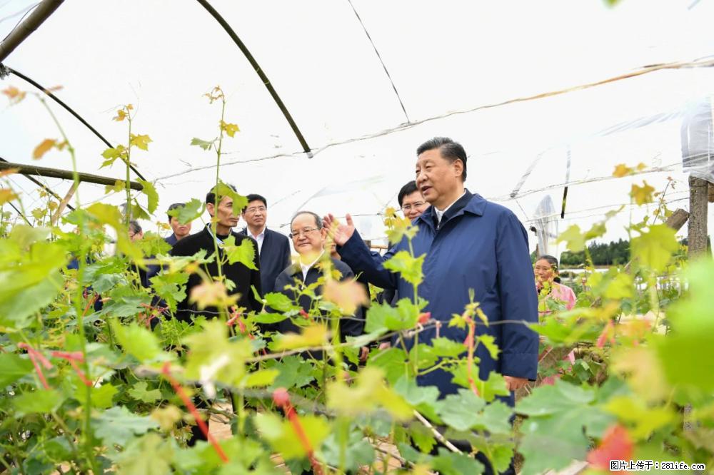 习近平赴广西考察调研 - 赤峰生活资讯 - 赤峰28生活网 chifeng.28life.net