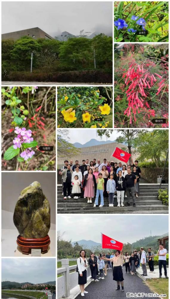 “粤灌文化 美好生活”油茶文化主题活动在广东深圳成功举办 - 赤峰生活资讯 - 赤峰28生活网 chifeng.28life.net