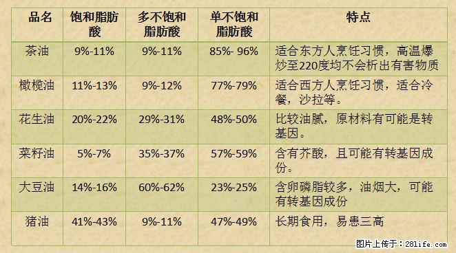 揭秘茶油的5大核心营养成分！被称为人体健康的“守护盾”！ - 赤峰生活资讯 - 赤峰28生活网 chifeng.28life.net