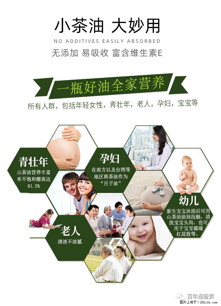 世界没有真相，只有认知，最好的食用油是中国的山茶油！ - 赤峰生活资讯 - 赤峰28生活网 chifeng.28life.net
