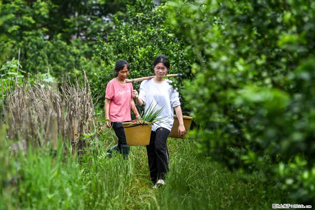 全网追的“扁担女孩”，找了一份暑假工，时薪12元 - 赤峰生活资讯 - 赤峰28生活网 chifeng.28life.net