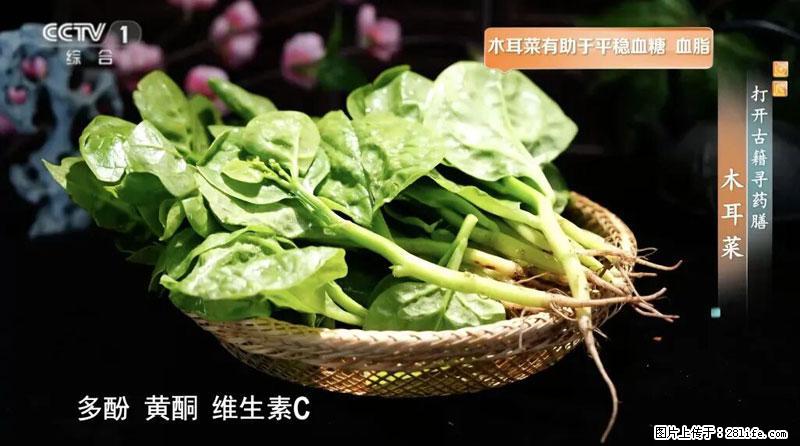比牛奶补钙还厉害！凉血解毒、稳血糖...这菜冬天必吃，很多人却当草 - 赤峰生活资讯 - 赤峰28生活网 chifeng.28life.net