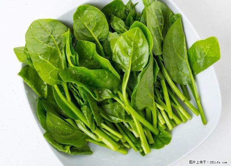 这些蔬菜是“天然钙片”，这6种被医生重点推荐 - 赤峰生活资讯 - 赤峰28生活网 chifeng.28life.net