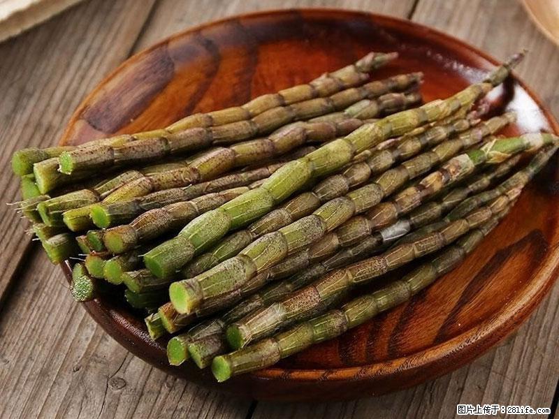 铁皮石斛的作用与功能主治 - 赤峰生活资讯 - 赤峰28生活网 chifeng.28life.net